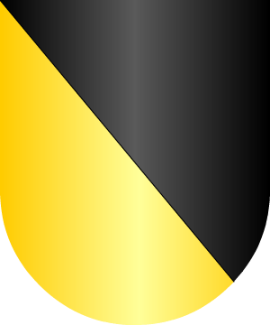 ESCUDO SIGUIENTE
